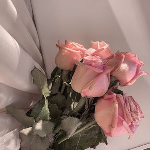 Meet your Posher, Esra